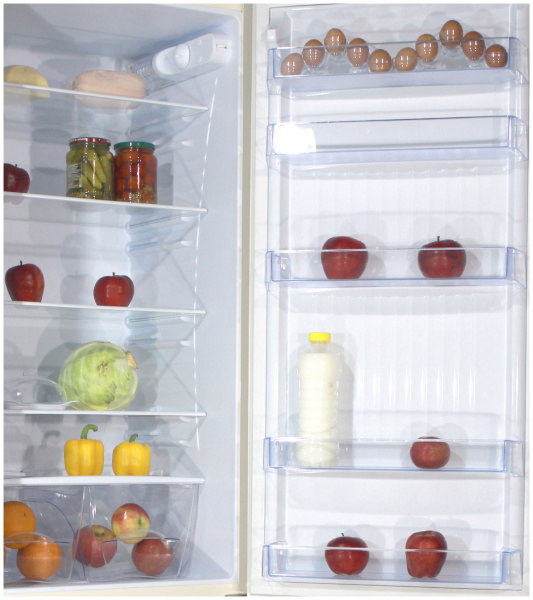 Холодильник DON R-295 BI (белая искра)
