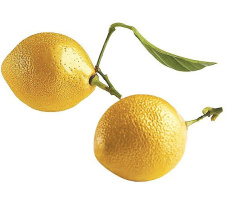 Форма для заморозки и выпечки PAVONI "Лимон" L 300 мм, B 175 мм, H 70 мм